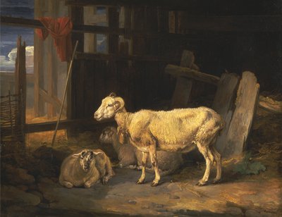 Heath Ewe and Lambs av James Ward